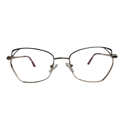 Armação Feminina BR1183 C2 50-21-140